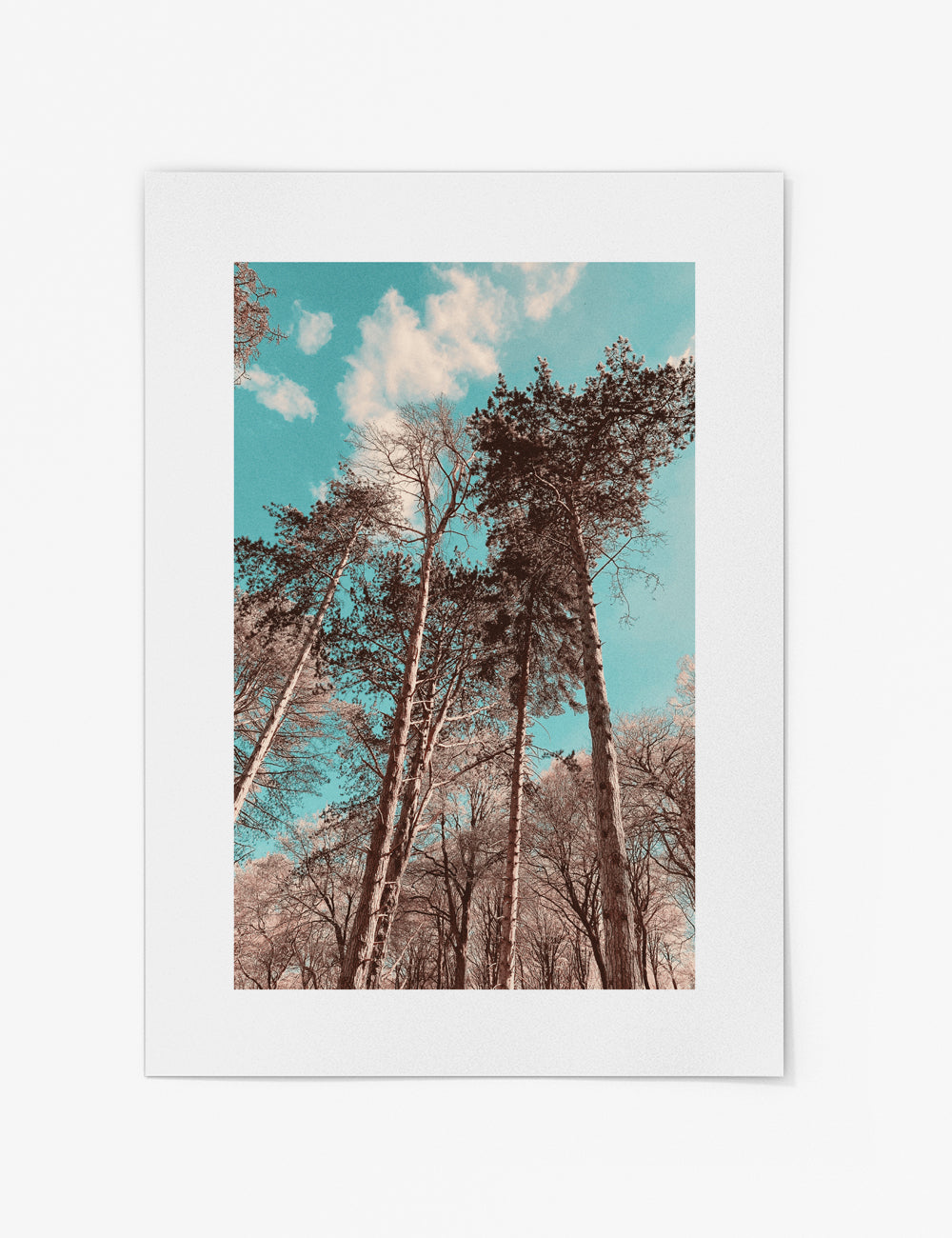 In The Trees Print