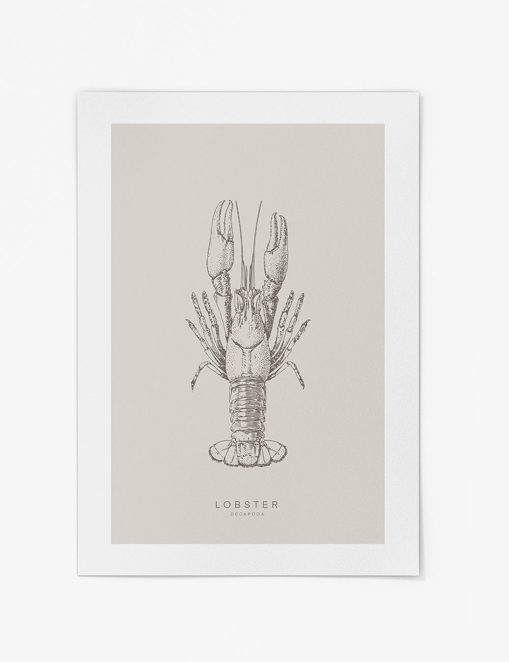 Lobster Sketch Print