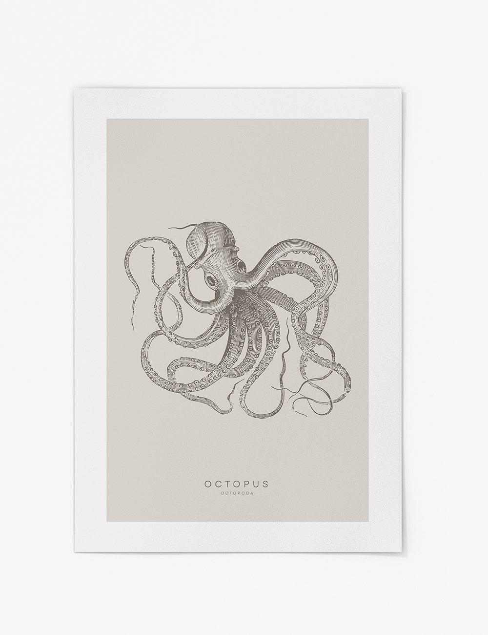 Octopus Sketch Print