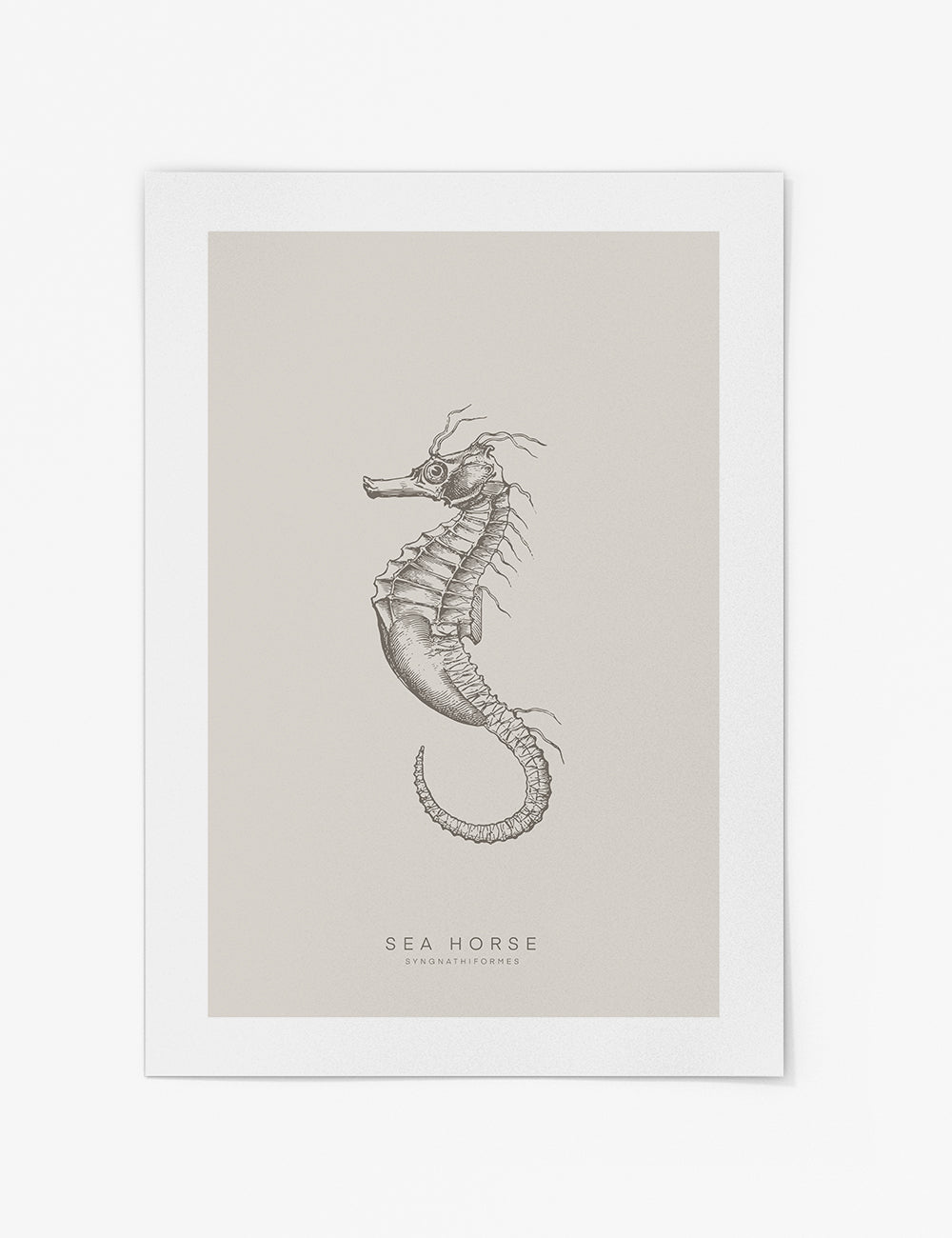 Sea Horse Sketch Print