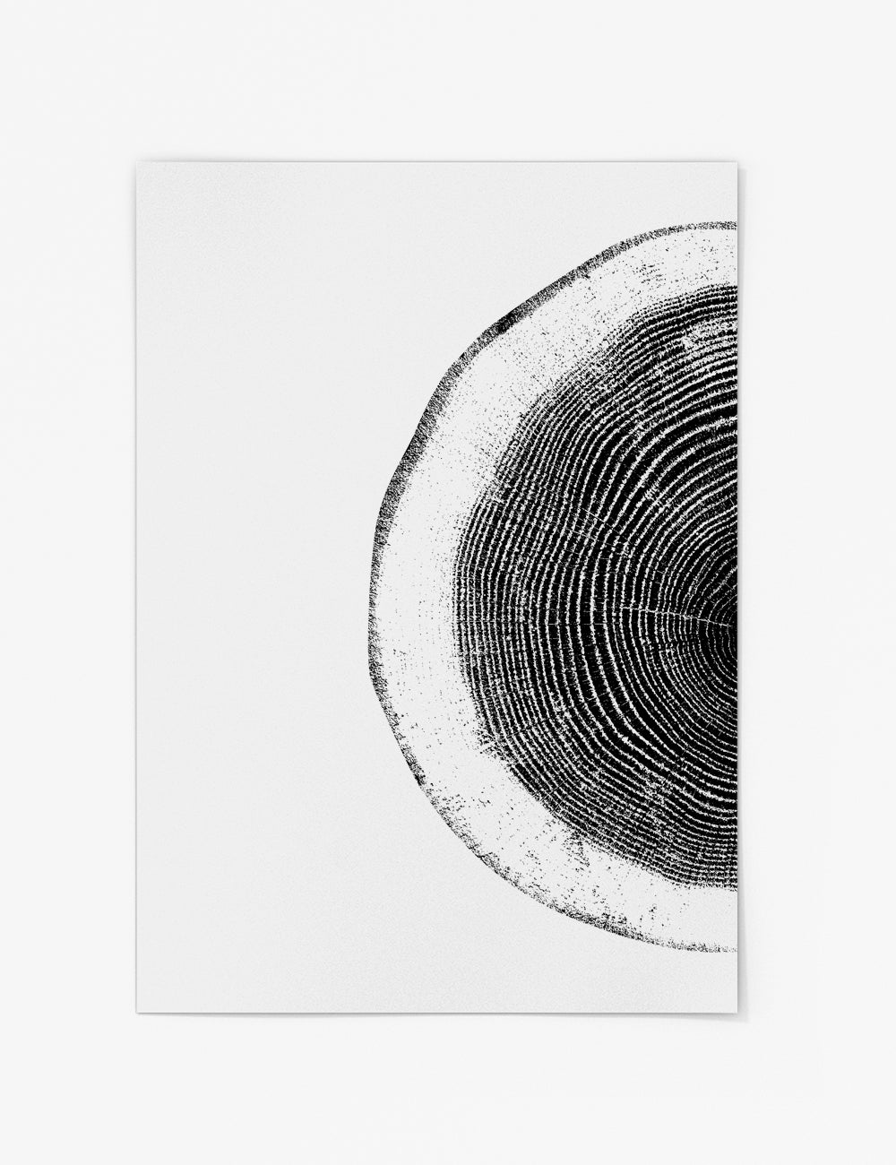 Tree Slice .01 Print
